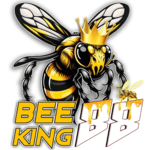 Beeking88 ราชาแห่งคาสิโนออนไลน์ ครบครันทุกการเดิมพัน